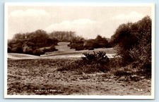 POSTCARD HAINAULT FOREST ESSEX