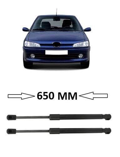 Bonnet gas struts - struts, for