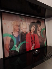 siouxsie and the banshees Poster