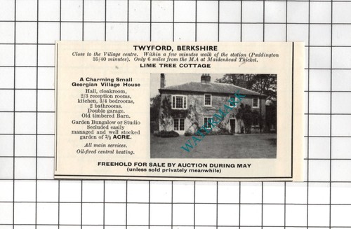 Lime tree cottage - tree,