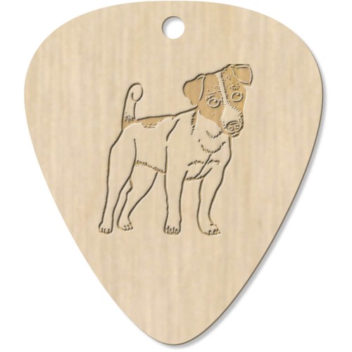 Jack russell dog - 7,