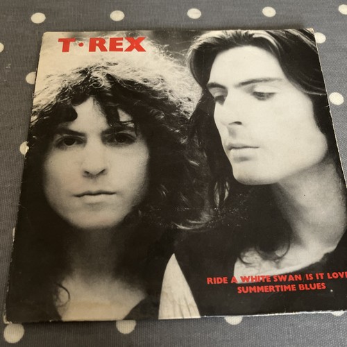 Rex ride white - t,