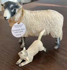 Country Artists Swaledale Ewe