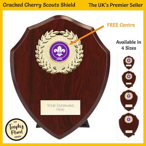 Scouts shield trophy - scouts, cracked