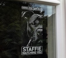 Staffie dog wireless security - dog,