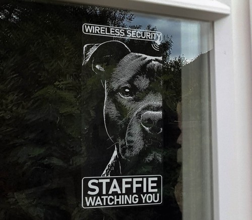 Staffie dog wireless security - staffie,
