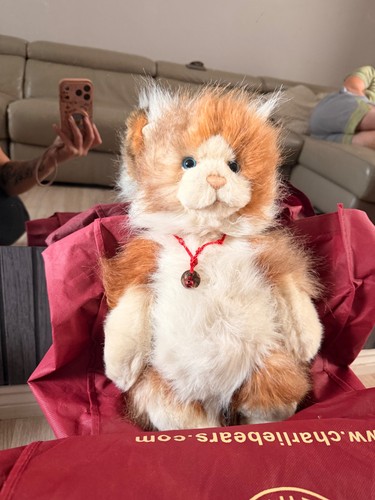 Charlie bear cat cb141471 - bear,