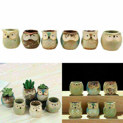 Creative owl pot flower - owl,