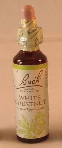 Bach flower remedies - flower, white