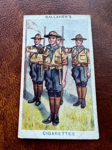 Gallaher cigarette card boy - card,