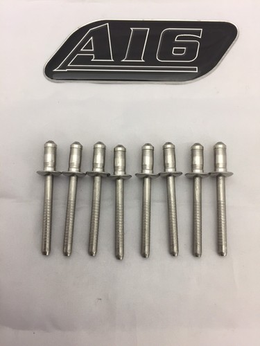 Stainless steel rivets 8mm - stainless,