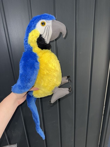 Ravensden blue maccaw - ravensden,
