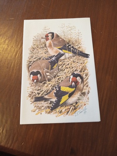 Pack types bird c - by, f