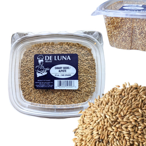 Canary seeds container - seeds,