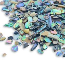 Abalone Paua  800 pcs  40g Polished Tiny NZ Craft Shells Chips Resin Art Mosaics