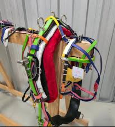 Pony sized skittles quick - pony,