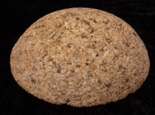 85mm  CORK PATE FOR ANTIQUE