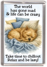 Norwich Terrier Dog Fridge