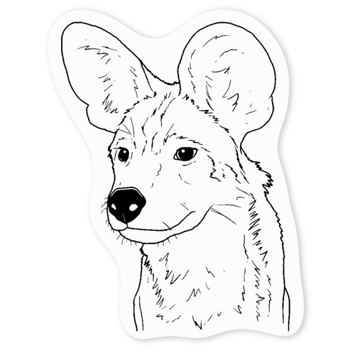 African wild dog face clear - face',