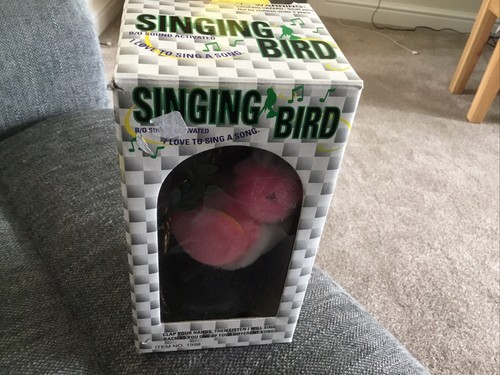 Jingle bird moving singing - bird,