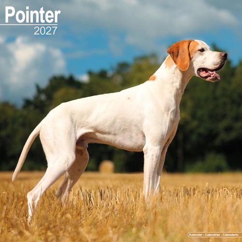 Pointer 2027 calendar square - 2027,