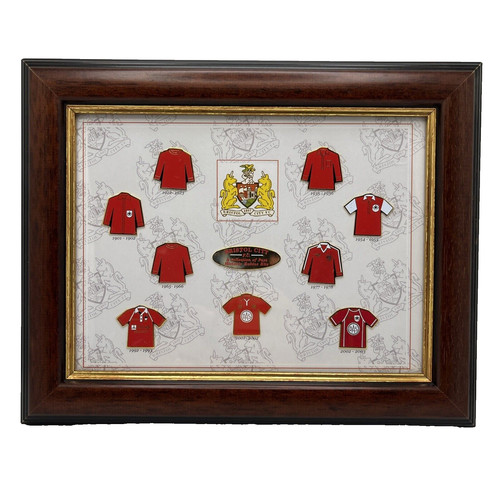 Bristol city football club - city,