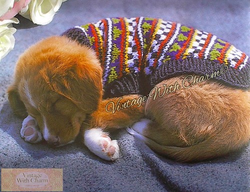 Vintage dog coat knitting - dog,