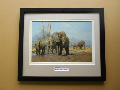 David shepherd print - david,