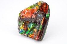 Ammolite du Canada 4x3.3cm