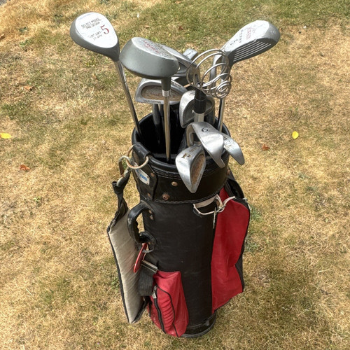 Vintage leather carry golf - vintage,