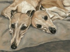 Greyhound Lurcher Art