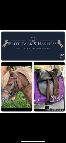 Complete cub saddle set - saddle,