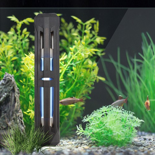 Fish tank sterilization - fish,