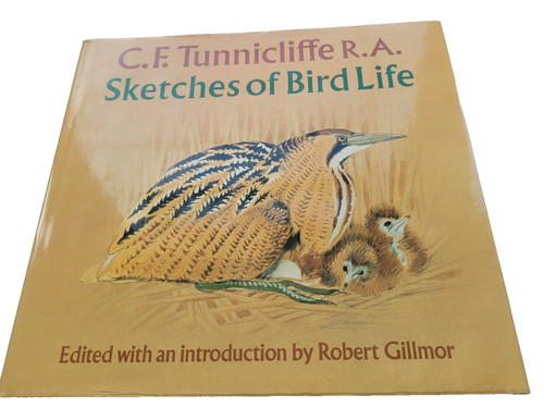 Sketches bird life c - sketches, c.