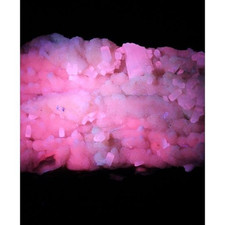 KB: GREAT FL. & PHOS