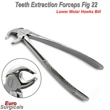 Dental Extracting Forceps