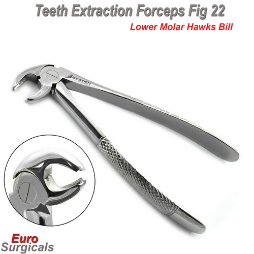 Dental extracting forceps - extracting,