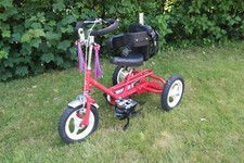 Child Mobility Trike Three Wheel Bike Disability C.P. Childs Special Needs