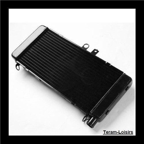 Radiator for honda 900 - for, 919
