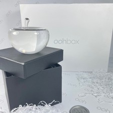 Clear Glass Apple Paperweight