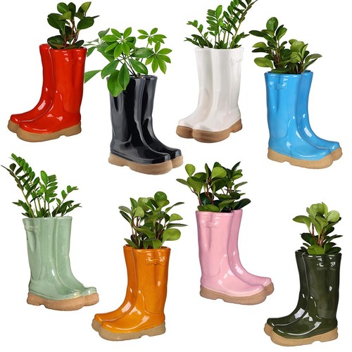 Wellington boot flower plant - boot,