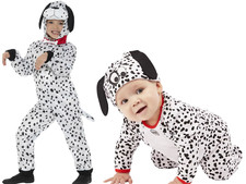 Dalmatian Dog Puppy Kids