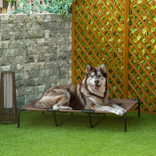 Cooling elevated dog - cooling,