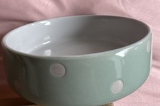Mason Cash 13cm Sage Polka Dot Stoneware Pet Feeding Bowl