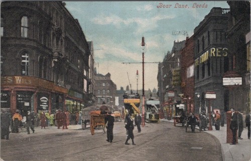 Yorkshire postcard boar - boar, lane