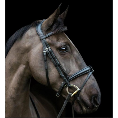 Eco rider ecosoft luxe - rider,