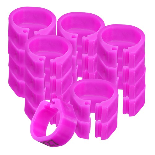 100 pcs pet bird - pcs,