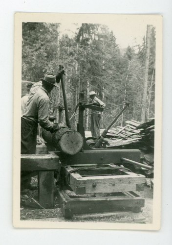 Blue collar forestry logger
