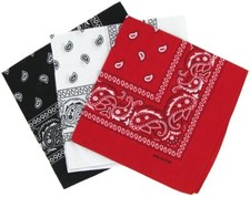 Cotton Paisley Bandana Scarf