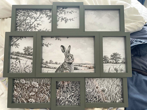 Black white hare countryside - &,
